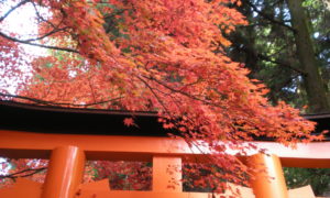 Kyoto, Japan